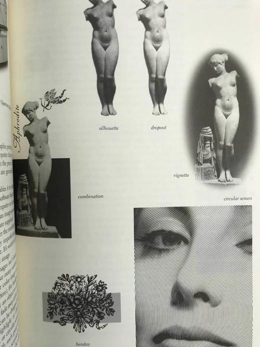 图书制作：编辑、设计、生产 数百幅插图 精装16开 商品图11