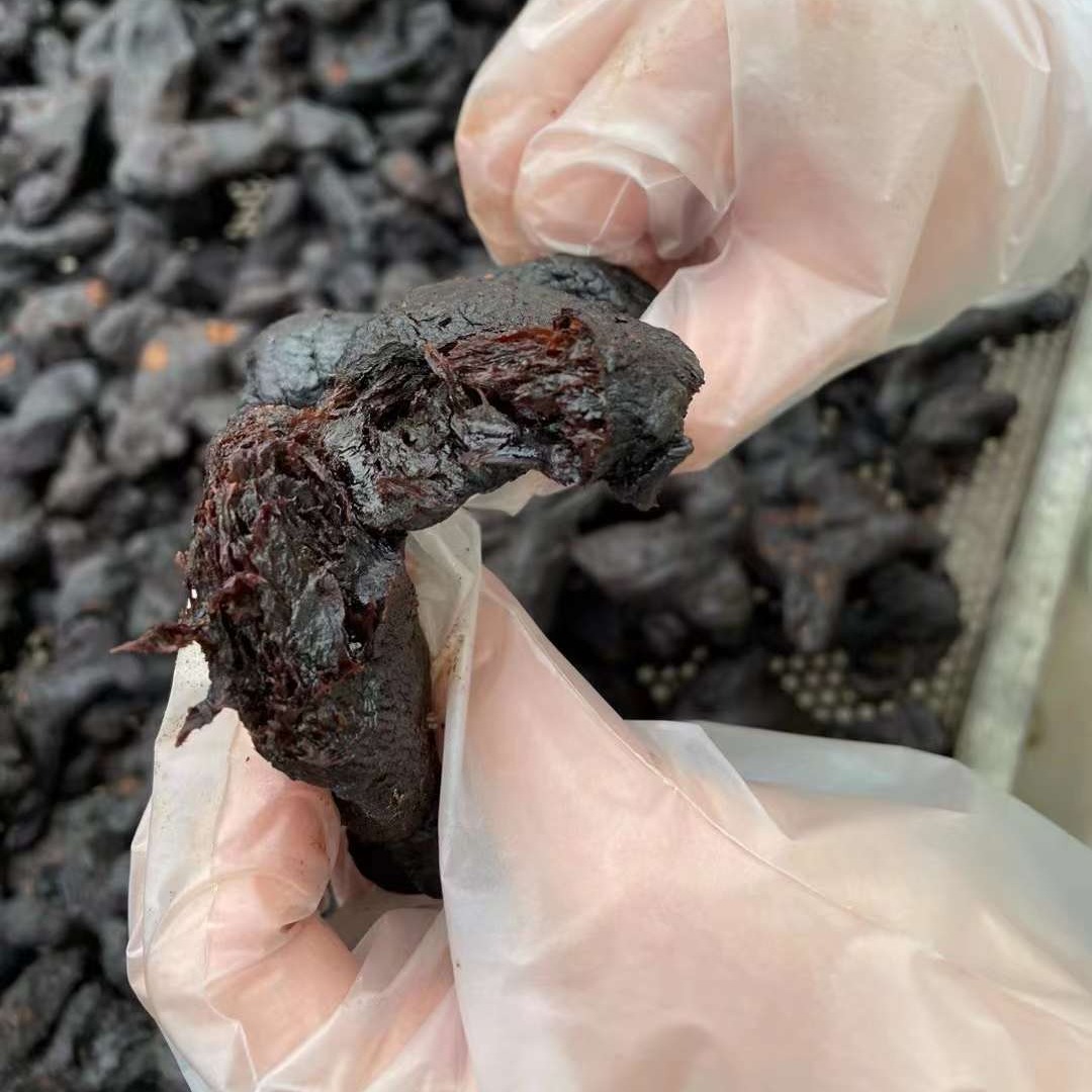 安徽九华山九制熟黄精、整根黄精