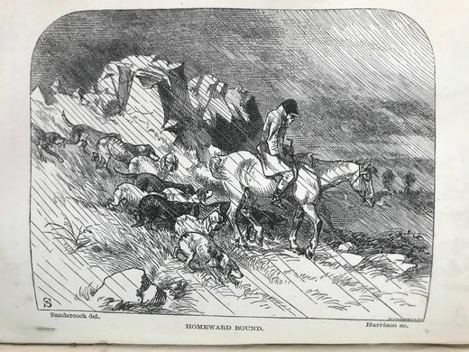 1868年 安德鲁·哈里代《野蛮人俱乐部》 10余幅精美插图 真皮精装26开 商品图6