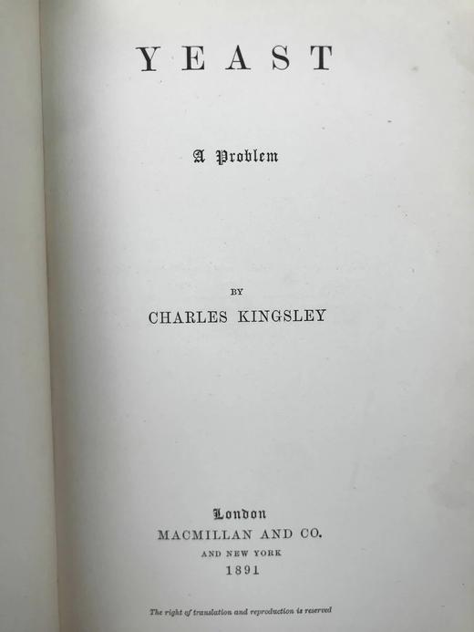 里维耶工坊特装本！1891年 查尔斯·金斯利《酵母》 真皮精装32开 商品图3