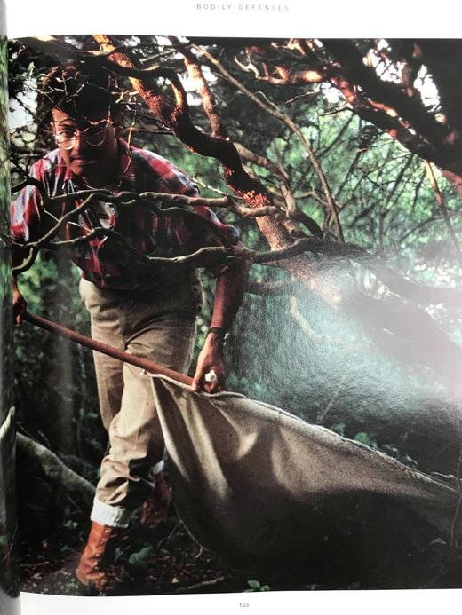 不可思议的旅程：人体探索 300幅插图 精装16开 商品图7