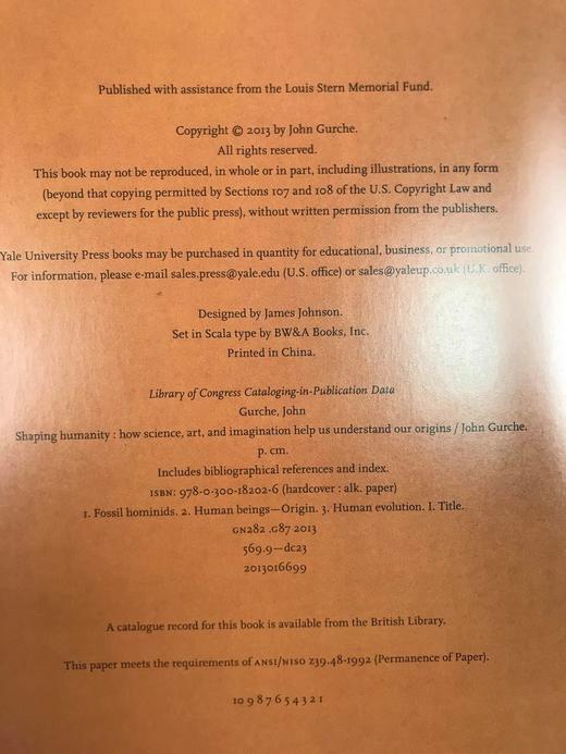 塑造人类：科学、艺术与想象如何帮助理解我们的起源 数百幅插图 精装16开 商品图4