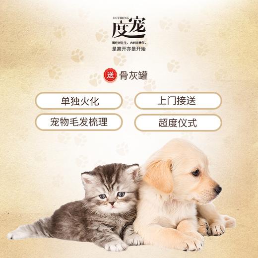 度宠北京宠物火化/宠物殡葬/超度仪式/骨灰庙存服务 商品图1