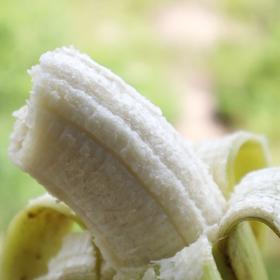 #树上熟【阳春土青皮香蕉】细腻丝滑、软糯香甜，小时候自然成熟土香蕉的味道，无拉长剂膨大剂不催熟，青皮香蕉，摸上去软了就可以吃