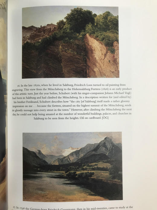 舒伯特的维也纳 数百幅插图 精装16开 商品图8