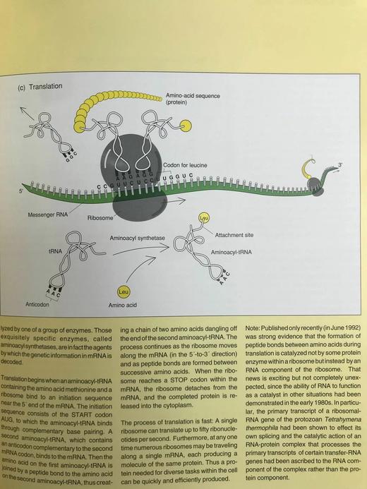 人类基因组计划：解读遗传蓝图 配插图 精装16开 商品图8