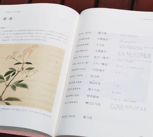 《诗经译注》（彩图珍藏本），精装，16开，全2册，程俊英译注，[日]细井徇等绘，上海古籍出版社2022年一版三印，916页，定价198元，售价82元。品相9成。 商品图8