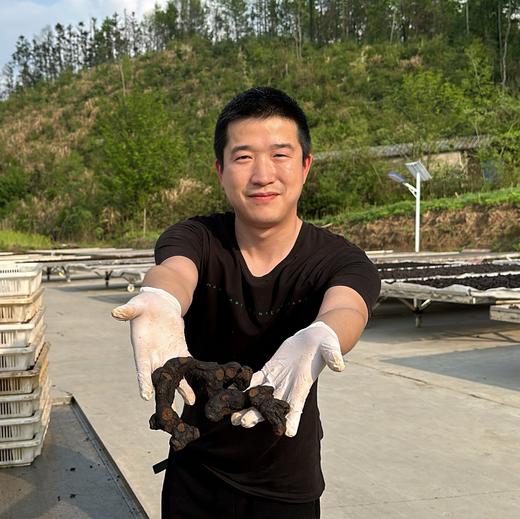 安徽九华山九制熟黄精、整根黄精 商品图6