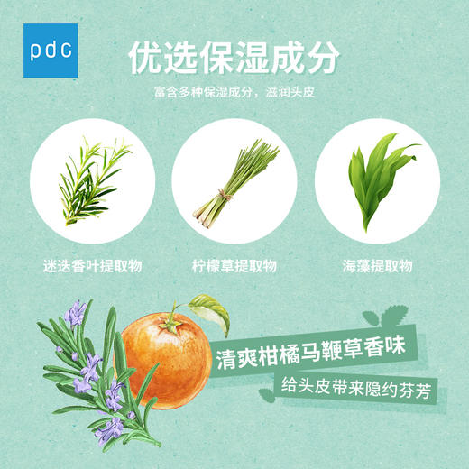 【特卖】Pdc碧迪皙 丽芙塔娜 硅藻土头皮清洁发膜 170g【保质期：2026年3月 】 商品图3