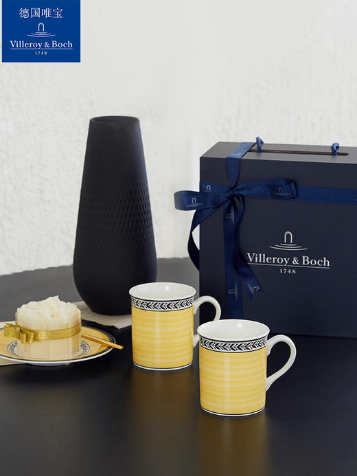 【VilleroyBoch 德国唯宝】奥顿马克对杯300ml 商品图0