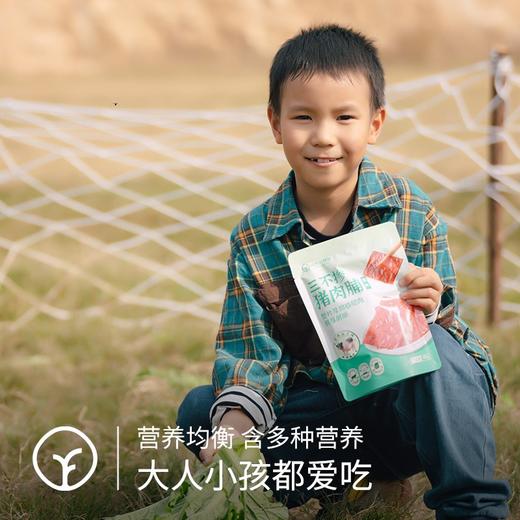 远方SGS检测兽残色素防腐剂119项均未检出【真正猪肉纹理“三不掺”猪肉脯】精选新鲜泰山土猪肉，整块原切烘烤工艺，健康零食 商品图1