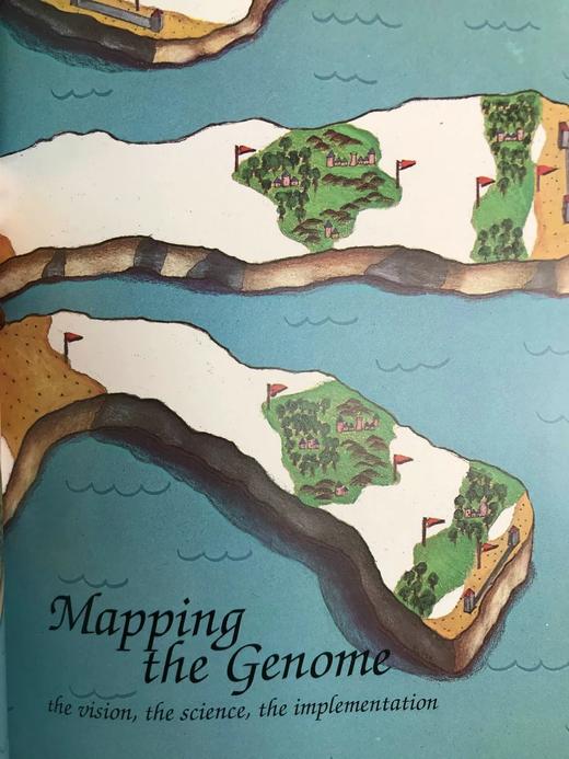人类基因组计划：解读遗传蓝图 配插图 精装16开 商品图7