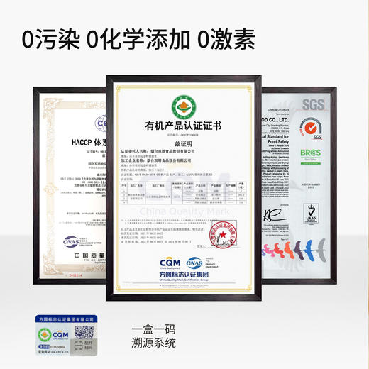 启伴有机豌豆蛋白粉 素食植物蛋白无麸质冲饮500g/罐 商品图6