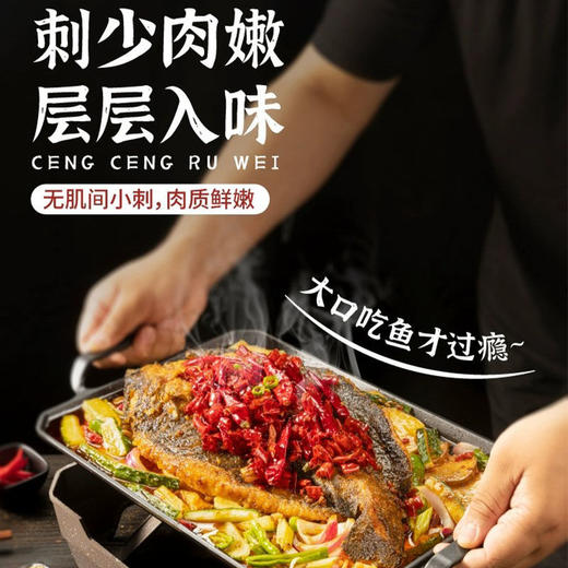 【99-50 199-100】和食乐川香烤鱼700g/盒装活鱼现杀烤鱼半成品预制菜 商品图1