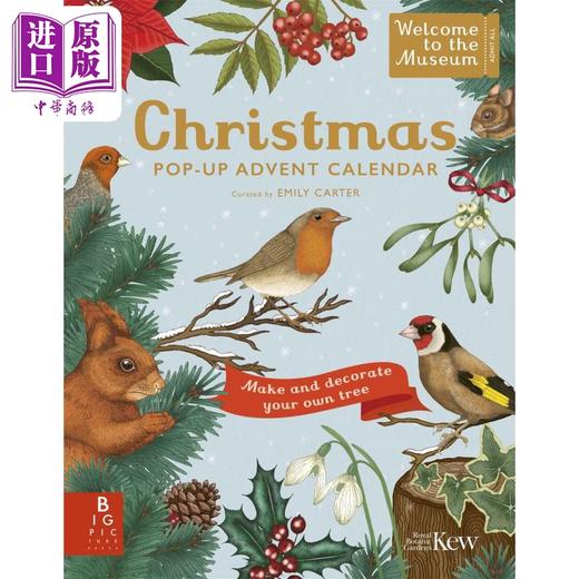 【中商原版】立体书 欢迎来到博物馆 Welcome to the Museum A Christmas Pop-Up Advent Calendar英文原版 儿童科普百科 精装 商品图0