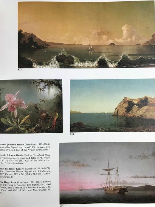 华盛顿国家画廊图集（1984） 1135幅插图（1035幅彩色） 精装大16开 商品图13