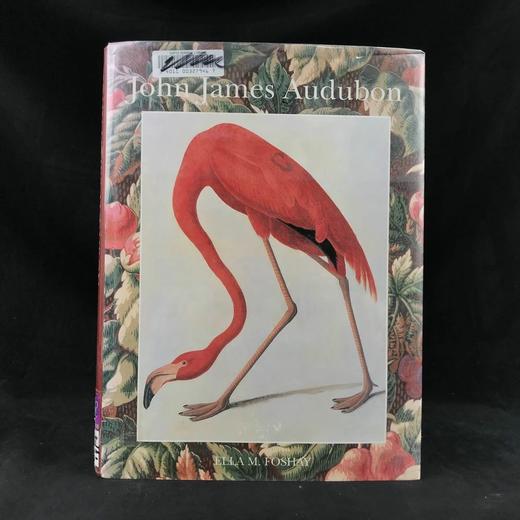 约翰·詹姆斯·奥杜邦画集 104幅插图（55幅彩色） 精装大16开 商品图0