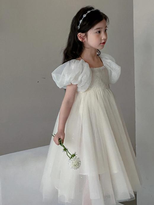 白月光公主裙 商品图1