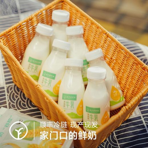 【检测31项兽残未检出 定制低温短保牛乳, 保质期15天200ml*9瓶】每100m1l含3.6g蛋白奶香浓郁丝滑 更好的保留牛奶中营养 商品图3