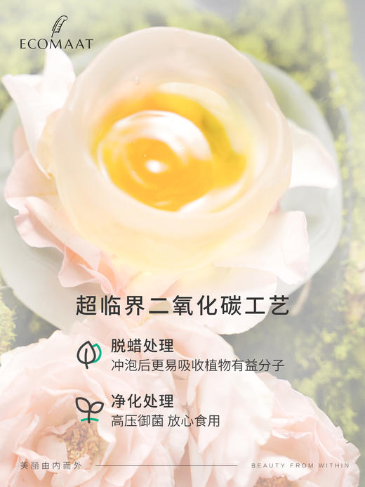 养颜又养身！章小蕙推荐～ECOMAAT伊可茉美颜茶 内服粉精油保加利亚口服 商品图3