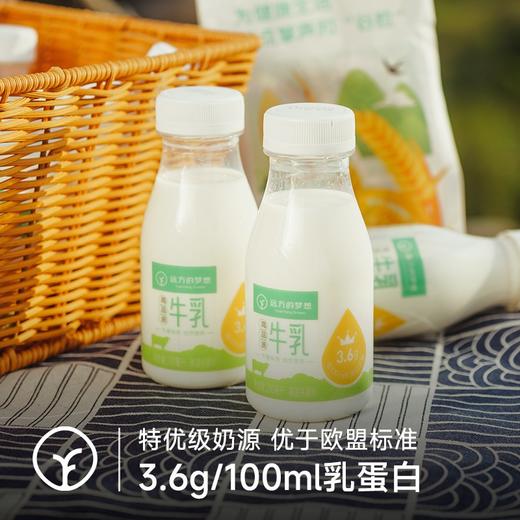 【检测31项兽残未检出 定制低温短保牛乳, 保质期15天200ml*9瓶】每100m1l含3.6g蛋白奶香浓郁丝滑 更好的保留牛奶中营养 商品图1