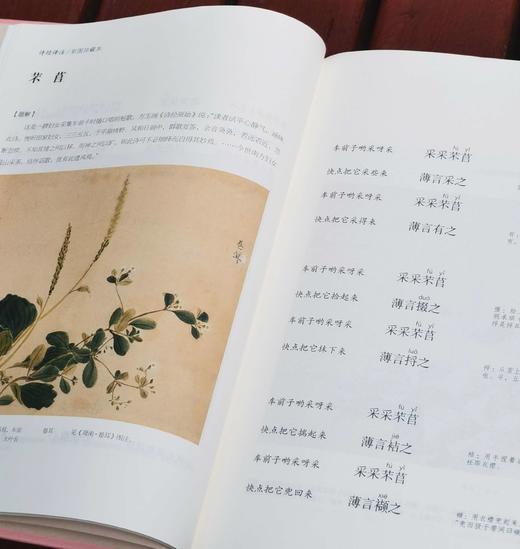 《诗经译注》（彩图珍藏本），精装，16开，全2册，程俊英译注，[日]细井徇等绘，上海古籍出版社2022年一版三印，916页，定价198元，售价82元。品相9成。 商品图7