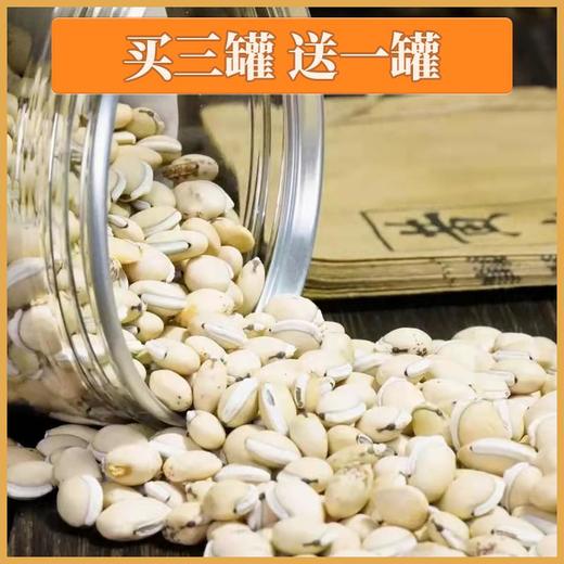 白扁豆 400克/罐  手选大号货 买三送一 商品图2