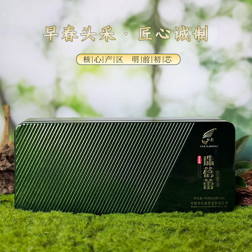 珠蓓蕾碧螺春智之春 商品图0