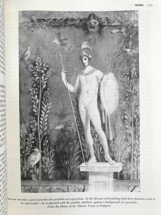 古典神话辞典 约百幅插图 精装16开 商品图6