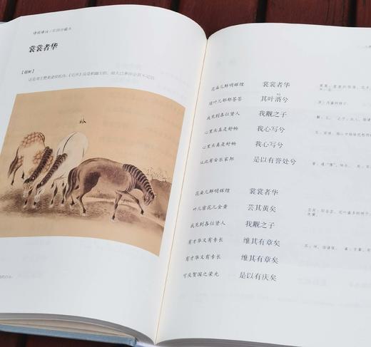 《诗经译注》（彩图珍藏本），精装，16开，全2册，程俊英译注，[日]细井徇等绘，上海古籍出版社2022年一版三印，916页，定价198元，售价82元。品相9成。 商品图14