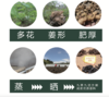 安徽九华山黄精黑麻丸、非遗技艺，一蒸至九蒸，经历49 天的工艺，繁工不减 商品缩略图4