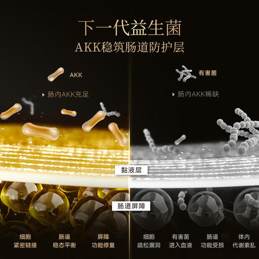 【3单起拍 单瓶不发货】Cellerator 愈龄菌AKK 单瓶装（60粒/瓶）健康肠寿机龄年轻 商品图3