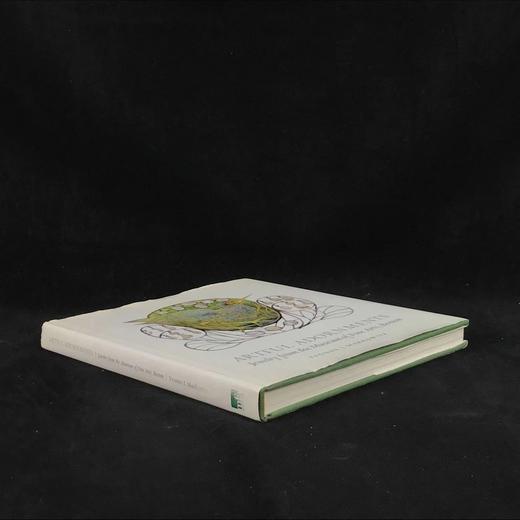 艺术装饰品：波士顿美术博物馆的珠宝 193幅彩色插图 精装16开 商品图1