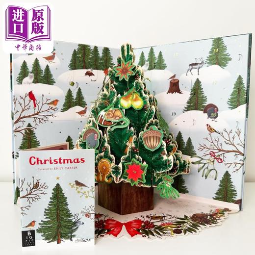 【中商原版】立体书 欢迎来到博物馆 Welcome to the Museum A Christmas Pop-Up Advent Calendar英文原版 儿童科普百科 精装 商品图4