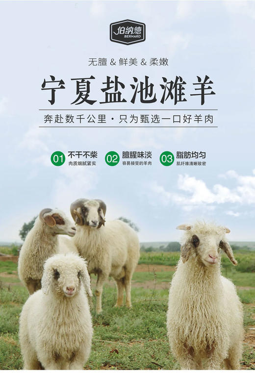 伯纳德宁夏盐池滩羊 商品图0
