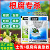 根腐专杀锐抗5%氨基寡糖素上苗清30%甲霜噁霉灵套装立枯病杀菌剂 商品缩略图2