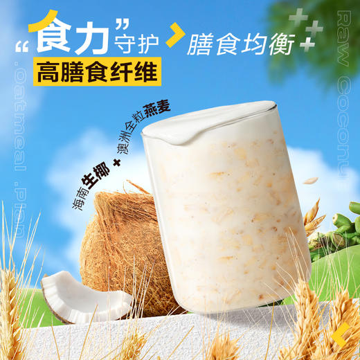 【南国食品】生椰燕麦片550g  FX-A-2401 商品图2