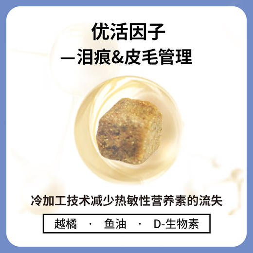 【囤货装】伯纳天纯经典狗粮小型犬成犬专用犬粮1.5KG 商品图1