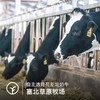 【检测31项兽残未检出 定制低温短保牛乳, 保质期15天200ml*9瓶】每100m1l含3.6g蛋白奶香浓郁丝滑 更好的保留牛奶中营养 商品缩略图2