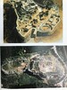 古代世界战争环球史 351幅插图（150幅彩色） 精装16开 商品缩略图13