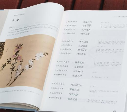 《诗经译注》（彩图珍藏本），精装，16开，全2册，程俊英译注，[日]细井徇等绘，上海古籍出版社2022年一版三印，916页，定价198元，售价82元。品相9成。 商品图13