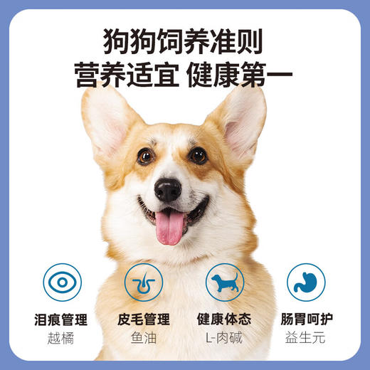 【囤货装】伯纳天纯经典狗粮小型犬成犬专用犬粮1.5KG 商品图3