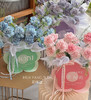  温馨颂歌 · 花盒 商品缩略图1