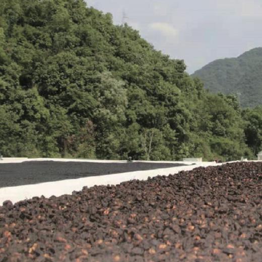 安徽九华山黄精黑麻丸、非遗技艺，一蒸至九蒸，经历49 天的工艺，繁工不减 商品图5