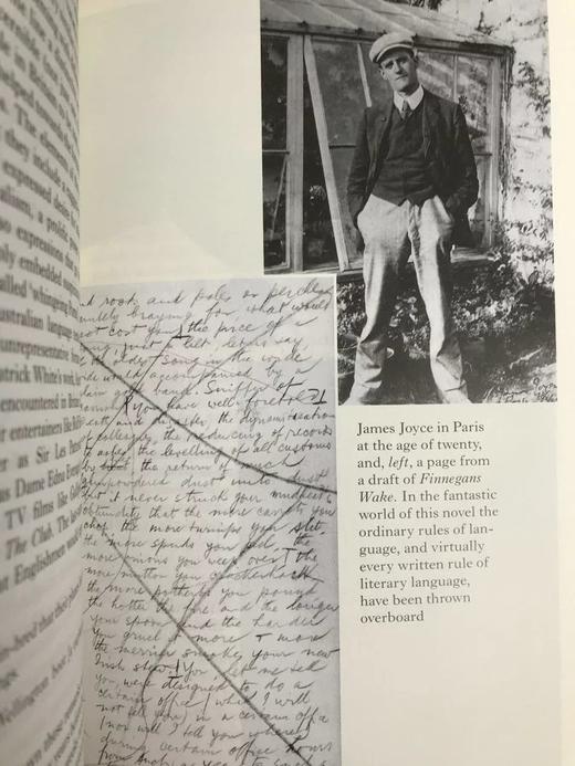 伯奇菲尔德《英语语言》（2008） 配多幅插图 精装18开带书匣 商品图7