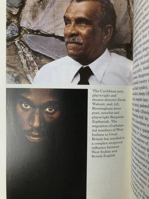 伯奇菲尔德《英语语言》（2008） 配多幅插图 精装18开带书匣 商品图6