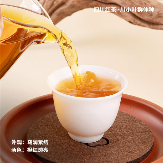 四川红茶2025年春茶原生老川茶焦糖甜香薯香川红工夫课代表 商品图2