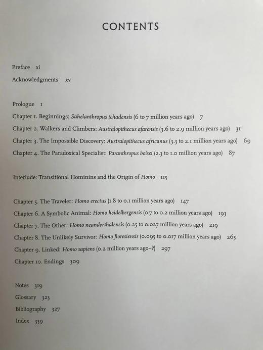 塑造人类：科学、艺术与想象如何帮助理解我们的起源 数百幅插图 精装16开 商品图5