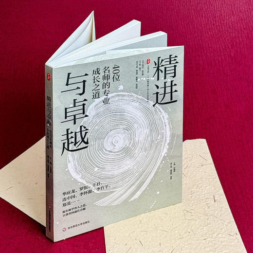 精进与卓越 40位名师的专业成长之道 大夏书系 教师发展 商品图3
