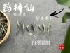 【2024春茶来了】连续7年春白茶销冠，2024一级白牡丹《鹊桥仙》，等级更高，鲜、爽、清、润，香透了！ 商品缩略图5